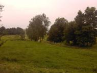 Курипів з panoramio.com