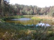 Долина з panoramio.com