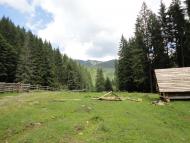 Бистриця з panoramio.com