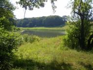 Гоптівка з panoramio.com