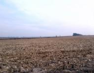 Тарасенки з panoramio.com - Тарасенки