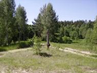 Ломленка з panoramio.com