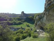 Тополі з panoramio.com