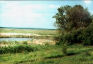 Червона Нива з panoramio.com