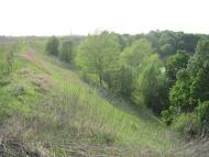 Радочини з panoramio.com