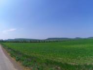 Костянтинівка з panoramio.com