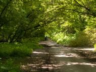 Розкішне з panoramio.com