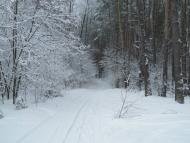 Піски з panoramio.com