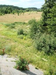 Царівка з panoramio.com