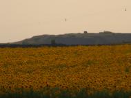 Сєверне з panoramio.com