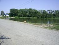 Пліщин з panoramio.com