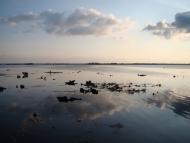 Кедина Гора з panoramio.com