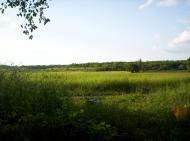 Усть-Лип'янка з panoramio.com