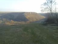 Кривчик з panoramio.com