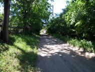 Гудими з panoramio.com