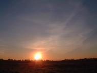 Сургани з panoramio.com