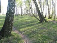 Рославичі з panoramio.com