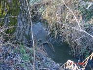 Добротимофіївка з panoramio.com