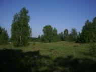 Городиська з panoramio.com