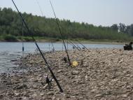 Нове Село з panoramio.com