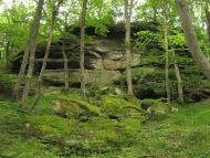 Слобода-Бушанська з panoramio.com