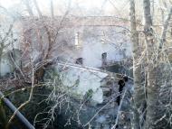 Куна з panoramio.com