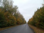 Бережне з panoramio.com