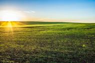 Комуна з panoramio.com - Комуна
