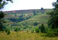 Слиньків Яр з panoramio.com