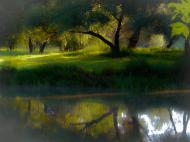 Лопаскине - Останні фото