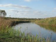 Заградівка з panoramio.com