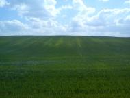 Великий Омеляник з panoramio.com