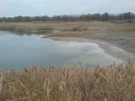 Шевченко з panoramio.com