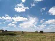 Жовтокам'янка з panoramio.com