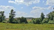 Вільхівка з panoramio.com - Вольховка