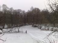 Буринь з panoramio.com