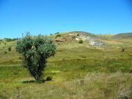 Першомар'ївка з panoramio.com