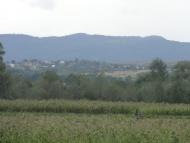 Їжівці з panoramio.com