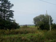 Кам'янка з panoramio.com