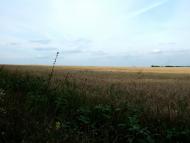 Українське з panoramio.com