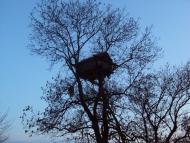 Любопіль з panoramio.com