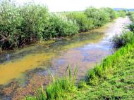 Городець з panoramio.com