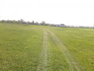 Степанівка з panoramio.com