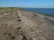 Аврора з panoramio.com