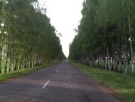 Панфили - Останні фото