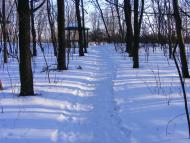 Хвощове з panoramio.com