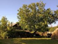 Стеблівка з panoramio.com