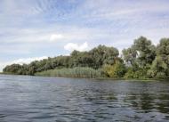 Куйбишеве з panoramio.com