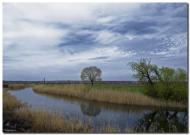 Сергіївка з panoramio.com