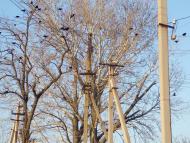 Широке з panoramio.com